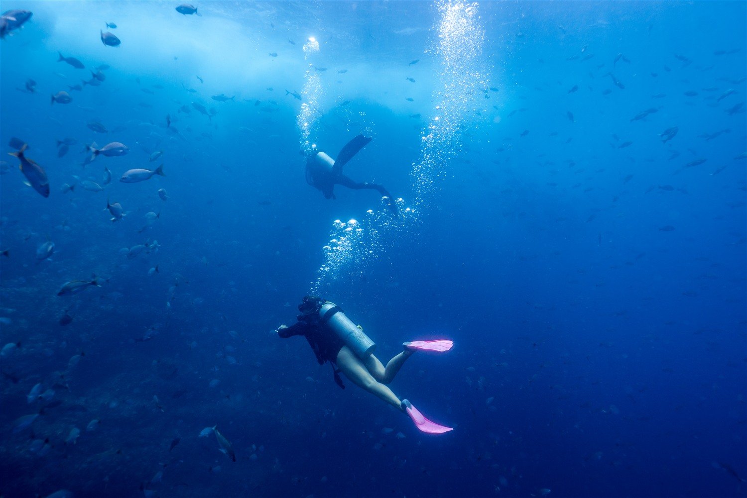 Advanced Open Water diver exploring the reef in Tamarindo, Costa Rica